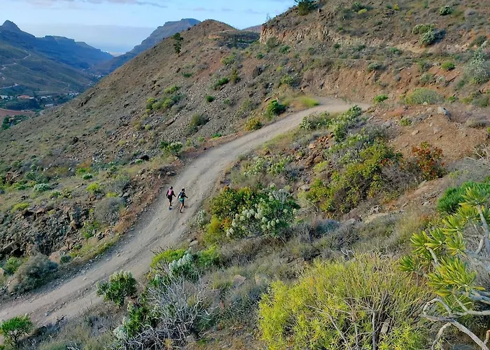 Friends'bed-room In Quiet Montain - Swimming Pool, Jacuzzi, Tv Outdoor - La Lezardiere Las Palmas de Gran Canaria